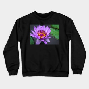 Purple Lily Pad Flower Photograph Crewneck Sweatshirt